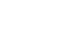 Theio Vitality logo white