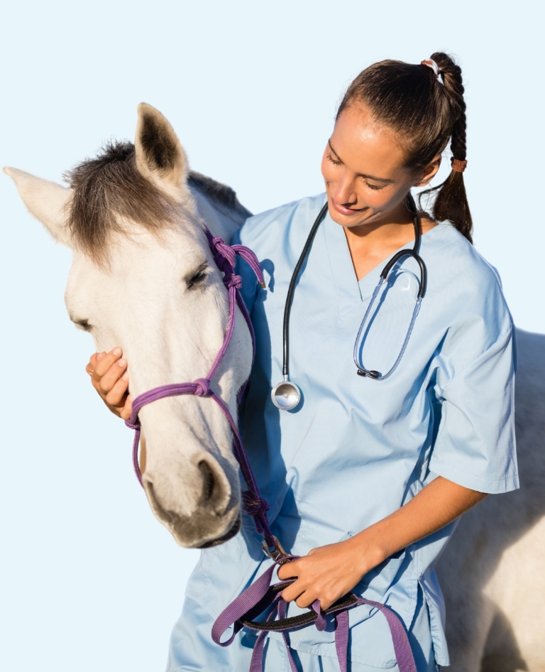 woman caring for horse
